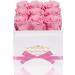 Preserved Pink Roses in Box | Long-Lasting Gift for Her | Anniversary, Mother's Day, Valentine's Day, Christmas - Buy Online on GoSupps.com