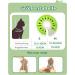 Buy Supet Rewrise Cat Adjustable Hencorace Collar - Recovery Cone for Surgery & Injuries (Kiwi M) - Neck 21.5-30.5cm - International Shipping Available - Buy Online on GoSupps.com