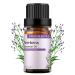 GREENSLEEVES Verbena Essential Oil 100% Pure Aromatherapy Oils for Diffuser Massage Humidifier - 10ml