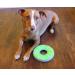 Buy Chuckit! CH32305 Zipflight Max Glow Small - Best International Shipping for Pet Toys - Buy Online on GoSupps.com