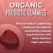 MaryRuth Organics Probiotic Gummies - USDA Organic Digestive & Gut Health Supplement for Adults - Immune Support - Vegan & Non-GMO - 60 Count - Buy Online on GoSupps.com
