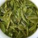 Th du d but du printemps Th en feuilles Bienfaits pour la sant 500g Th vert biologique - Buy Online on GoSupps.com