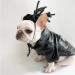 Funny Dog & Cat Role Play Wigs | Halloween Christmas & Party Costumes for All Pet Sizes - Buy Online on GoSupps.com