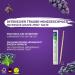 Miracle Toothpick - Sugar-Free Flavored 100-Pack | Fresh Breath & Smoking Cessation - 8 Refreshing Varieties | Eco-Friendly & Individually Packaged - Buy Online on GoSupps.com