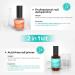 Modelones Gel Nail Polish Primer - Acid-Free Natural Nail Prep Dehydrate & Bond Primer - 15ml Nail Bond - Superior Bonding Primer for Acrylic Powder - Nail Supplies Set - Buy Online on GoSupps.com