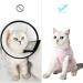 Dotoner Cat Recovery Suit - Surgical Shirt for Belly Wounds Cone Alternative | Soft Medical Pet Clothing (Pink M) - 1 Pack - Buy Online on GoSupps.com
