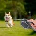 Edipets Retractable Dog Leash - 5m Flexible Band for Dogs up to 50kg | Adjustable Length Durable Design for Convenient Walks - Buy Online on GoSupps.com