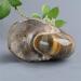 SOEJJWKP 1pc Original and Natural Stone Ammonite 200g-700g Suitable for Furniture Decoration WEISHENYIN 1pc 305g-400g - Buy Online on GoSupps.com