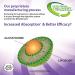 Shop Aurora Nutrascience Liposomal Glutathione - 500mg 30 Packets | Immune Support Antioxidant Non-GMO Gluten & Sugar Free - Buy Online on GoSupps.com
