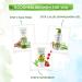 Aloe Ashwagandha Gel | Hydrating Aloe Vera & Ashwagandha Moisturizer for Youthful Glow | Non-Sticky Paraben-Free | 10.14 Fl Oz (300ml - Buy Online on GoSupps.com