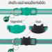 Taglory Reflective Cat Collar 2-Pack | Adjustable Safety Clasp & Bell | Turquoise 15-20cm for Kittens & Cats - Buy Online on GoSupps.com