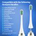 8 Pack NEDIFON Toothbrush Replacement Heads for Philips Sonicare - Compatible with ProtectiveClean, EasyClean, DiamondClean - HX9023 Replacement Heads for Electric Brushes - Buy Online on GoSupps.com