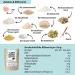 Lower Carb Helle Br tchen & Bread Mix Bundle | Vegan Gluten-Free Keto-Friendly Protein Bread Alternative - Bio & Lactose-Free - Buy Online on GoSupps.com