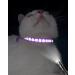 Taglory Reflective Cat Collar with Safety Clasp & Bell - Adjustable 2-Pack for Kittens & Cats (19-32cm Purple) - Safe & Stylish - Buy Online on GoSupps.com