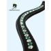 Crownclub Glitter Variation: Custom Bitless Bridle & Sidepull for Cob - Shop Internationally! - Buy Online on GoSupps.com