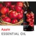 Apple Essential Oil 4 Fl Oz and Peony Flowers Reed Diffuser 6.7 fl oz Perfect for Christmas Christmas Eve Halloween Thanksgiving New Year's Day Valentine's Day and Easter Gifts - Buy Online on GoSupps.com