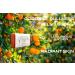 California Gold Artisan Soaps - Blood Orange Bergamot Bar Soap | 6 Natural & Organic 4 oz. Bars with Sunflower & Coconut Oils | International Shipping Available - Buy Online on GoSupps.com