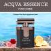 Jean Rish Aqva Essence Eau De Toilette - Perfume for Men (3.4 Fl Oz / 100ml) with Aromatic Woody & Sea Notes - Long Lasting and Luxury Fragrance - Buy Online on GoSupps.com