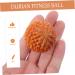 Gatuida 2st Wooden Massage Balls - Handheld Fitness Tools for Yoga & Relaxation - Chinese Hand Massage Decor - Buy Online on GoSupps.com
