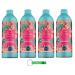 Tesori d'Oriente Bagno Lot de 4 cr mes ayurv diques moussantes l'amla et au patchouli nettoie en douceur la peau et donne brillance et souplesse 500 ml + porte-cl s Beni Culinari gratuit
