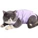 Lianzimau Katzenbody after op with anti-licking for abdominal wounds soft home indoor pet clothing e-neck band Alternative for cats dog after the operation S (1 Pack) purple