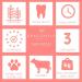 Dragonfly Products. 10 x 15cm Thick Bulls Pizzle Bully Sticks for Dogs & Puppies - Healthy Natural Dog Thick Treats Chews Beef 10 count (Pack of 1) - Buy Online on GoSupps.com
