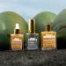Bronzing Drops - Gouttes bronzantes de luxe pour le visage le cou et le d collet - Gouttes autobronzantes douces l'huile de coco - Bronzant hydratant pour le visage m langer avec de - Buy Online on GoSupps.com
