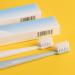 HiTuYi Manual Disposable Hotel Toothbrush with Toothpaste - 30pcs per Case - Buy Online on GoSupps.com