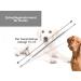 Dog Scaler Tartar Remover for Pets - Stainless Steel Teeth Cleaning Tool | Wing Shape Dental Care - Buy Online on GoSupps.com