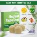 Whemoalus Rodent Repellent Balls SEALUXE Pack of 4 Mouse Repellent Rat Repellent Rats Deterrent Indoor Mint Mice Repellent Peppermint Oil to Repel Mice and Rats - Buy Online on GoSupps.com