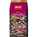 Pufai Grocery Sunflower Seeds Dakota Salted 250g Pack of 3 - Buy Online on GoSupps.com