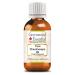 Greenwood Essential Pure Chaulmoogra Oil (Hydnocarpus wightiana) Pure Therapeutic Grade Cold Pressed 30ml (1 oz)