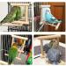 Wooden Bird Bathtub with Mirror, Swing & Perch Stand - 3 Pack Colorful Accessories for Budgerigar, Parakeet, Cockatiel, Conure, Lovebird, Cockatoo - Buy Online on GoSupps.com