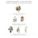 Buy Bread the Sens Hand Cream - Moisturizing Rose Geranium Lotion for Very Dry Hands (30 ml) - 97% Natural Ingredients - Imported from France - Buy Online on GoSupps.com