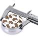 Kiwi Bird Cute Portable Metal Pill Box - Mini 3-Compartment Organizer for Small Pills Travel Essential Hinged Design - Black - Buy Online on GoSupps.com