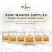 33rd PARALLEL BTMS 50 Conditioning Emulsifier | 100% Natural Plant Derived | Made in USA | 2 OZ Pack - Buy Online on GoSupps.com