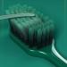 Zumaha Ultra-Like Compact Toothbrush Set - 10 Ergonomic Manual Spinbrushes for Adults Pregnant Women & Juniors - Ideal for Travel - Buy Online on GoSupps.com