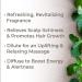 Buy Plant Therapy Organic Peppermint Essential Oil Roll-On | 100% Pure Pre-Diluted | Natural Aromatherapy for Neck Tension & Muscle Discomfort | Therapeutic Grade 10 mL - Buy Online on GoSupps.com