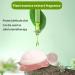 Savon Enfant Tortue Naturel Hydratant Lot de 4 Savons Solides Forme Tortue pour enfant Nettoyant Doux Sans Plastique Bain Ludique et Apaisant Id al Peaux Sensibles Gar ons et Filles  - Buy Online on GoSupps.com