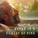 Wiberg's Pine Bath Essence - Muscle Soothing Relaxing Bath Additive with Pine Needles and Capsicum Oils 500ml - Buy Online on GoSupps.com