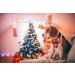 Buy Lionet Paws Christmas Dog Bandana | Headscarf & Towel for All Dog Sizes - Festive Holiday Style - Buy Online on GoSupps.com