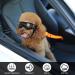 Adiwo Dog Goggles - Waterproof Anti-UV Sunglasses for Small & Medium Dogs | Windproof Safety Glasses with Adjustable Band - Buy Online on GoSupps.com