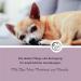 Annimally Eye Care Pads for Dogs & Cats - 100 Count | Gentle Eye Cleaning with Aloe Vera Chamomile & Panthenol - Buy Online on GoSupps.com