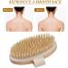 Premium Vegan Dry Body Brush | Natural Bristles Peeling Brush for Exfoliating Dead Skin Ideal for Bathing & Skincare - Buy Online on GoSupps.com