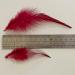 100pcs Red Rooster Saddle Hackle Feathers 5-7 Inch for Crafts & Jewelry Making - Buy Online on GoSupps.com