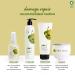 Plum Pre Shampoo Hair Oil | 8 Natural Oils Blend | For Dry, Dull, Damaged Hair | Silicone-Free | Olive, Macadamia, & Argan Nutri-Shield | Nourishes Scalp | Non-Greasy | All-Season | 3.04 Fl Oz - Buy Online on GoSupps.com