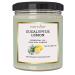 Eucalyptus & Lemon Candle | Aromatherapy Essential Oil Soy Candle - 9 Oz Jar | Cotton Wick | High Scent | 40 Hours Burn Time