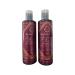 NOIA PARIS Indian Hair Straightening Indian Liss Amla Amazon Oils & Indian Ginseng Protein Gold 200 ml for 2 Uses