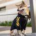 Stylish Yellow Dog Coat for Small Breeds | Winter Hoodie & Jacket for Schnauzer Corgi French Bulldog & Teddy | XXL/2XL - Buy Online on GoSupps.com
