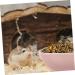 KICHOUSE 2pcs Hamster Food Plate Hamster Cage Accessories Bunny Food Hawaiian Food Hamster Bath Bowl Ceramic Rat Bowl Pet Bowl Small Cat Bowl Hamster Supplies Food Bowl for Cats Ceramics medium Pink - Buy Online on GoSupps.com